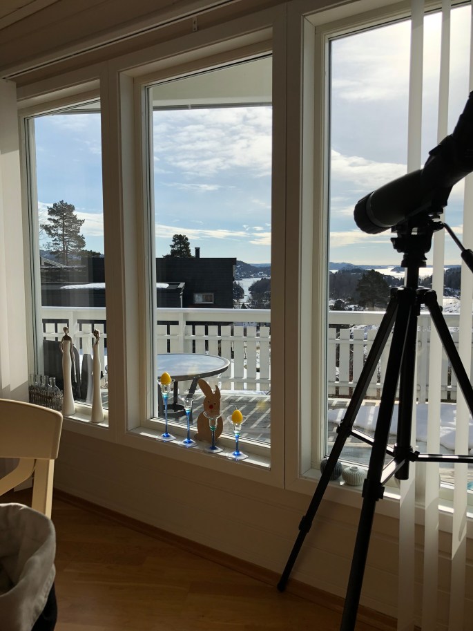 05545961-1885-4957-819D-4D5014141AFA